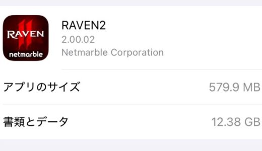【RAVEN2】使用容量は12GB超！空き容量を確保が必須