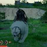 紅の砂漠 シロクマ