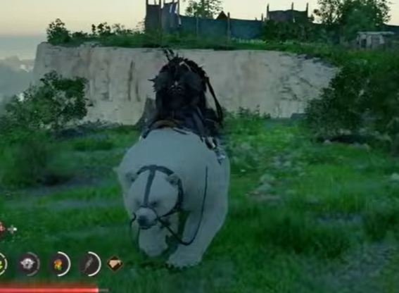 紅の砂漠　ｼﾛｸﾏ