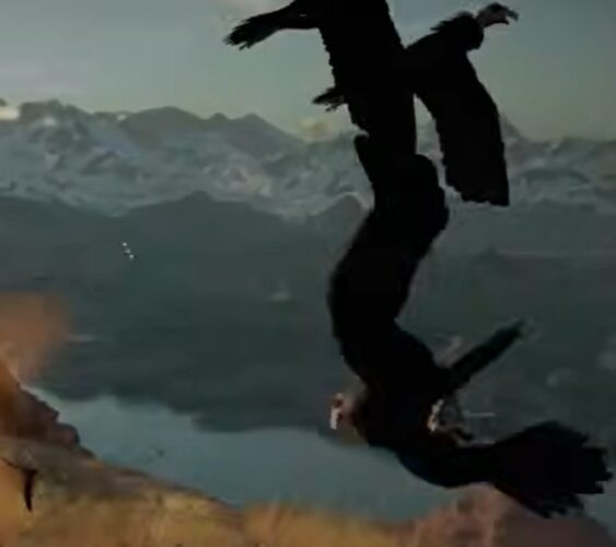 紅の砂漠 コンドル