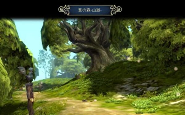 影の森　山道